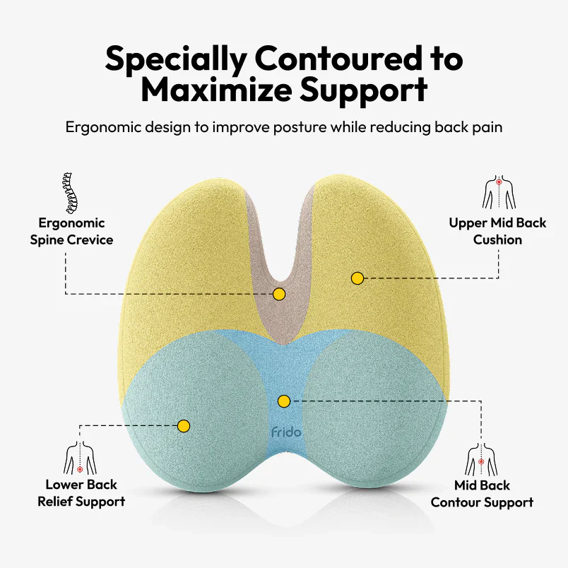 Ultimate Comfort Duo – Cushion + Support Like Never Before - Image 6